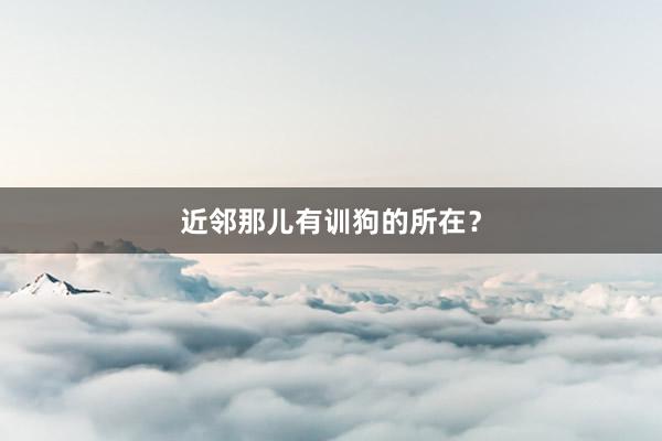 近邻那儿有训狗的所在？